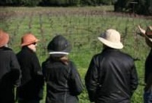 The Wine Country Safari Tour